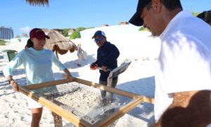 EN CANCUN SE PONE EL EJEMPLO CON EL CUIDADO Y LIMPIEZA DE PLAYAS